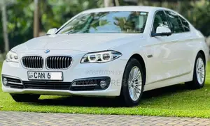 BMW 520D 2015 Car (Used)