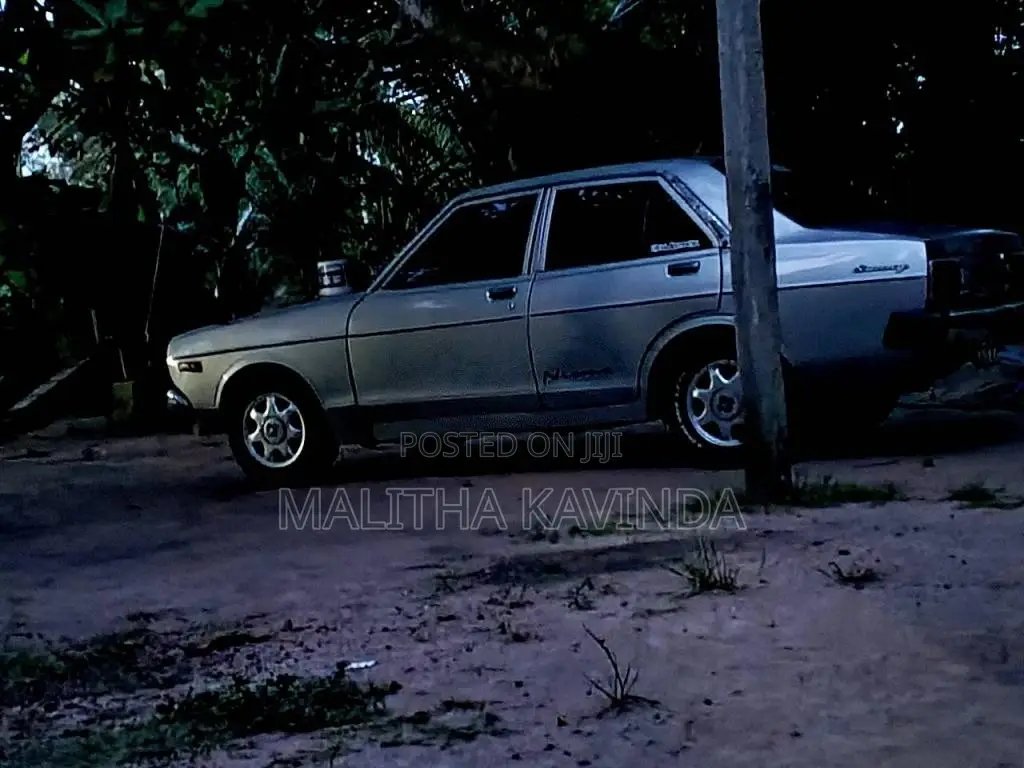 Nissan Sunny 1983 Car (Used)