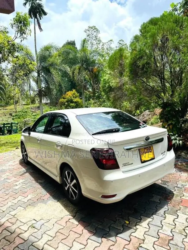 Toyota Axio 2017 Car (Used)