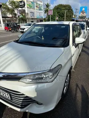 Toyota Axio 2015 Car (Used)