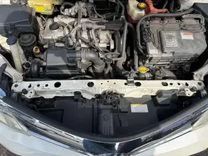 Toyota Axio 2015 Car (Used)