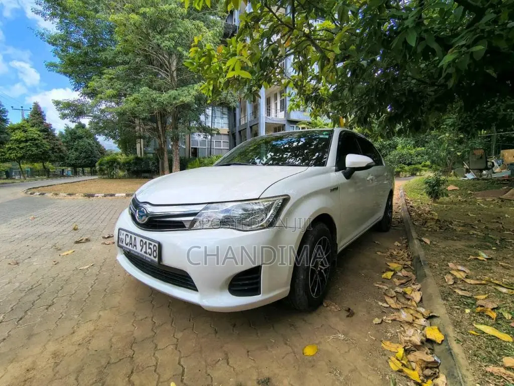 Toyota Axio 2014 Car (Used)