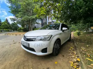 Toyota Axio 2014 Car (Used)