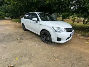 Toyota Axio 2014 Car (Used)