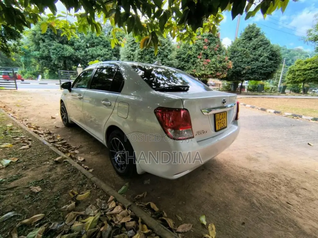 Toyota Axio 2014 Car (Used)