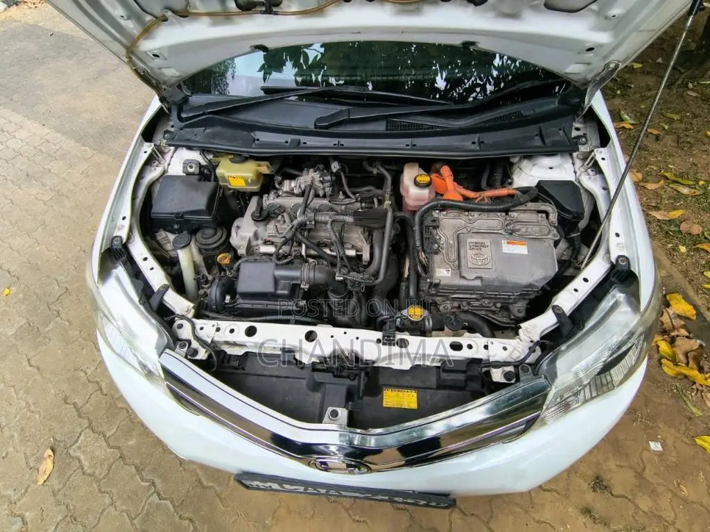 Toyota Axio 2014 Car (Used)