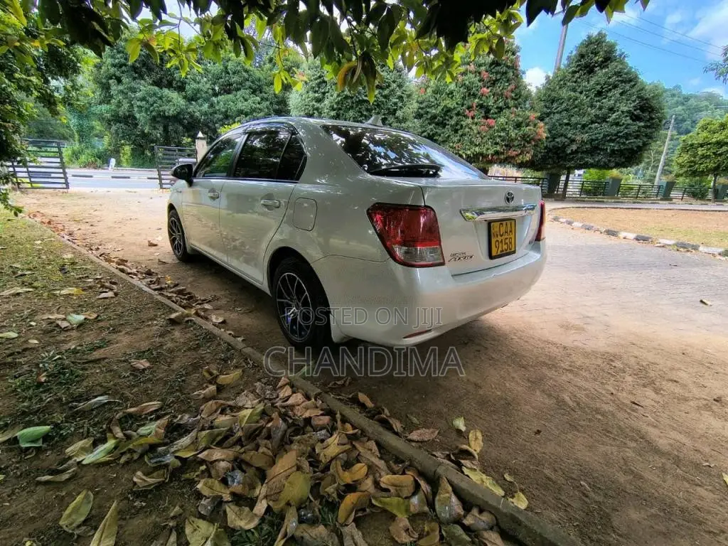 Toyota Axio 2014 Car (Used)