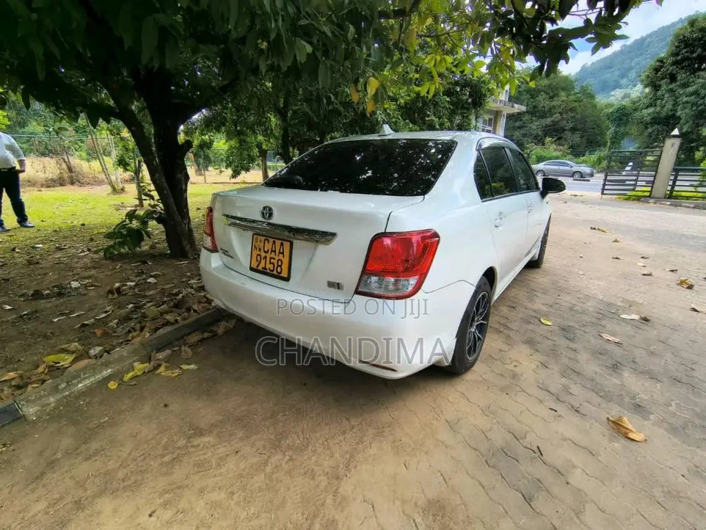 Toyota Axio 2014 Car (Used)