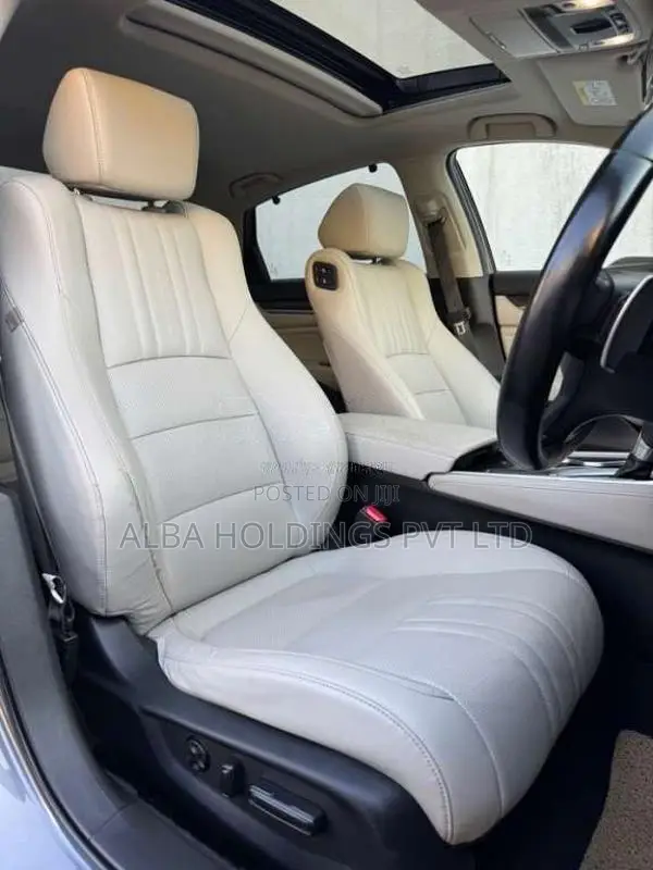 Honda Accord 2019 Car (Used)