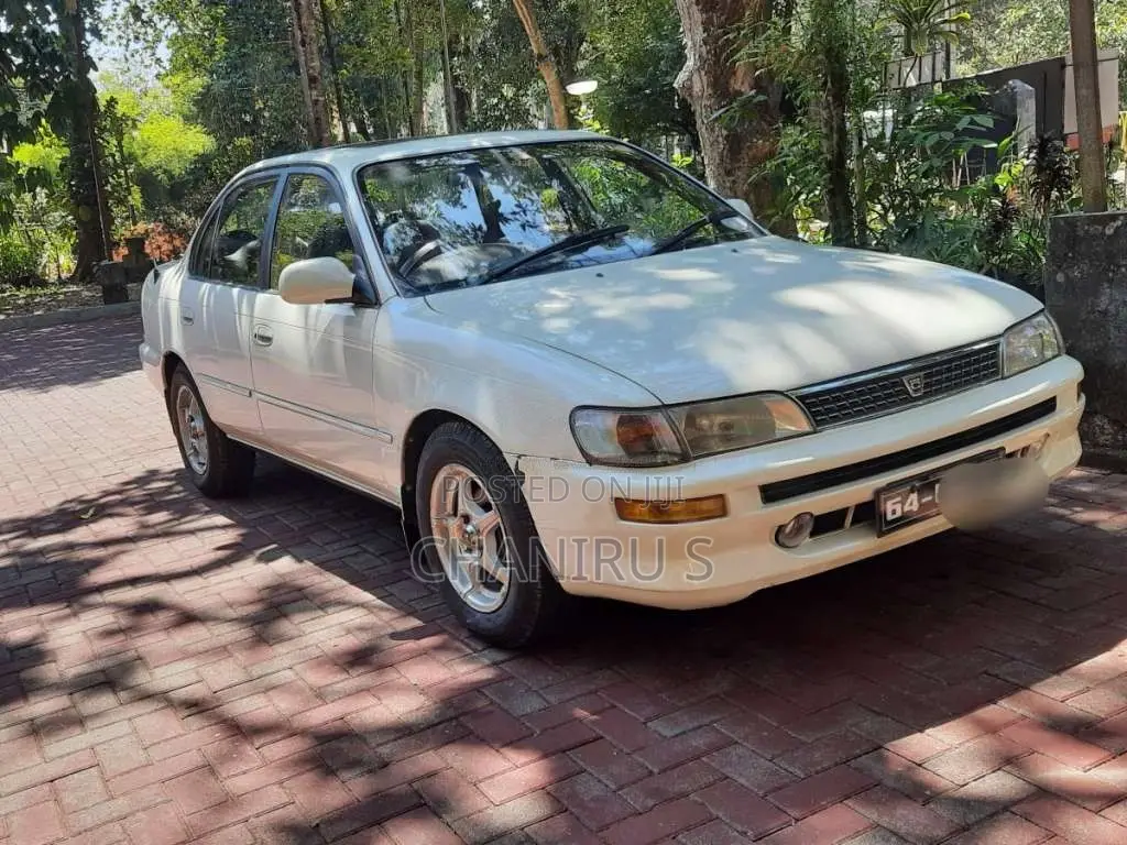 Toyota Corolla 1991 Car (Used)