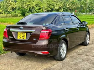 Toyota Axio G Grade 2015 Car (Used)