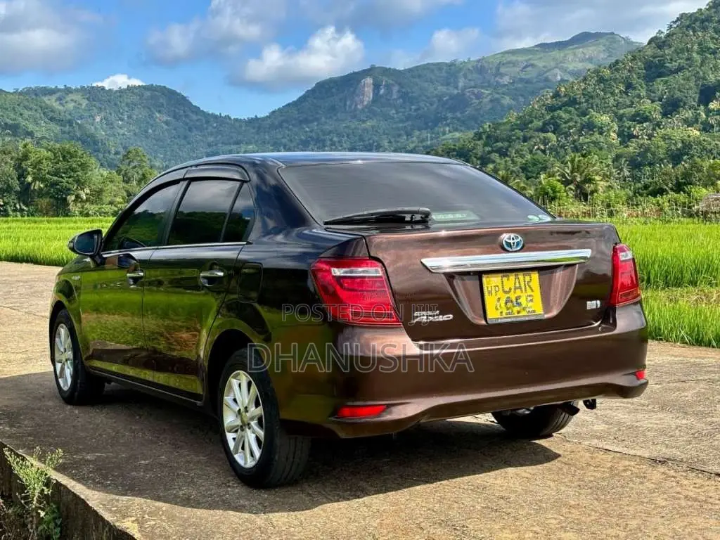 Toyota Axio G Grade 2015 Car (Used)