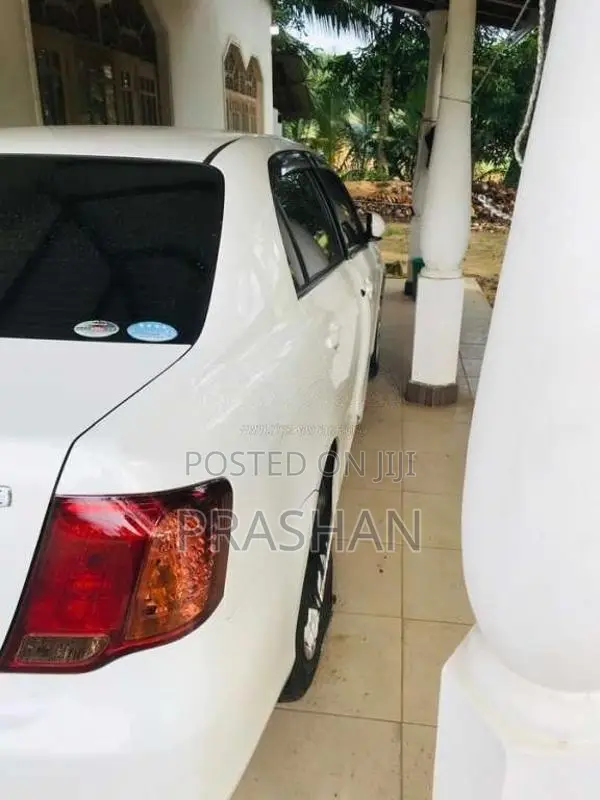 Toyota Axio 2007 Car (Used)