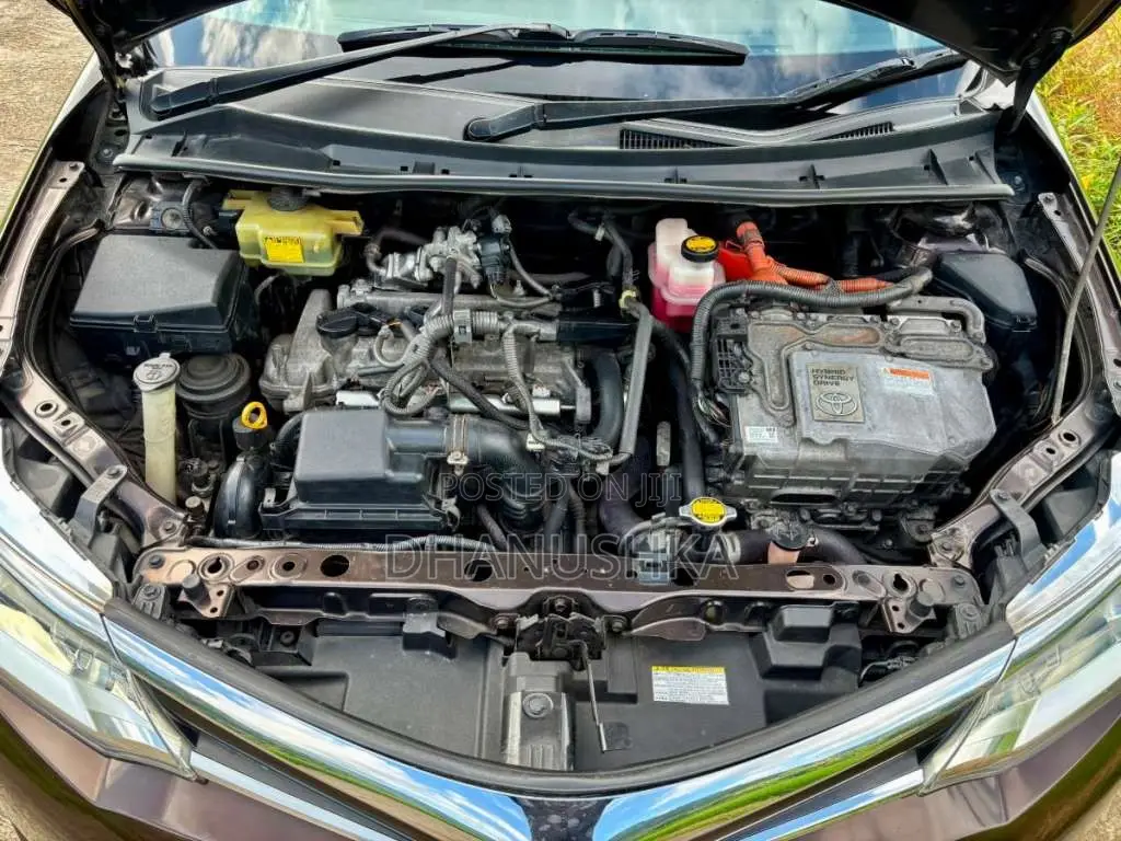 Toyota Axio G Grade 2015 Car (Used)