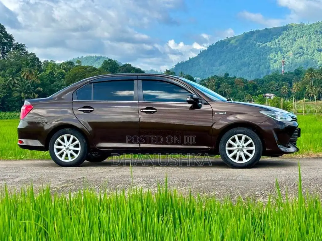 Toyota Axio G Grade 2015 Car (Used)