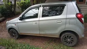 Suzuki Alto 2015 Car (Used)