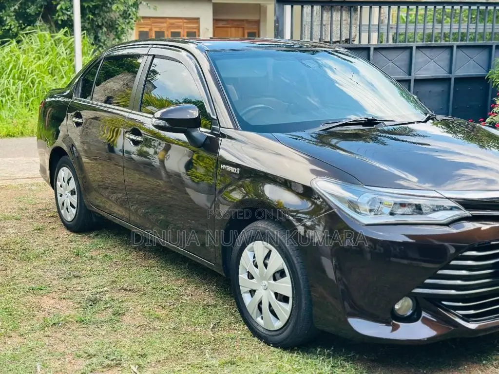Toyota Axio G Grade 2015 Car (Used)