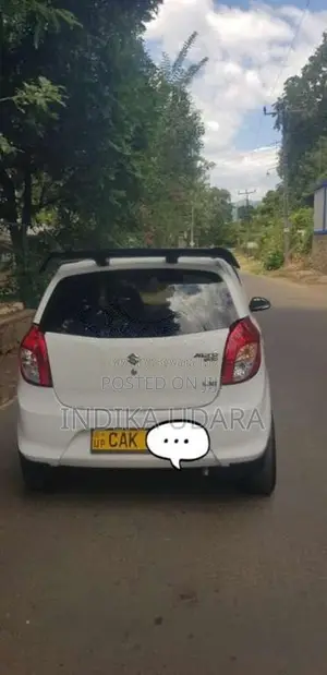 Suzuki Alto 2015 Car (Used)