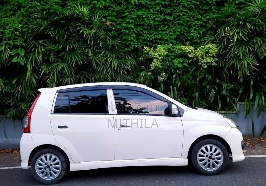 Perodua Viva Elite Premium 2009 Car (Used)