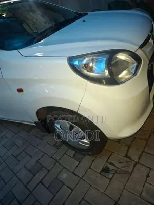 Suzuki Alto 2015 Car (Used)