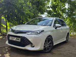 Toyota Axio WXB 2017 Car (Used)