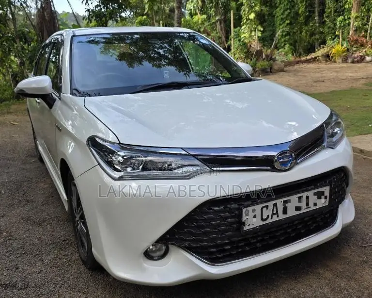 Toyota Axio WXB 2017 Car (Used)