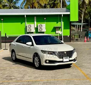 Toyota Premio NZT260 G Superior 2020 Car (Used)