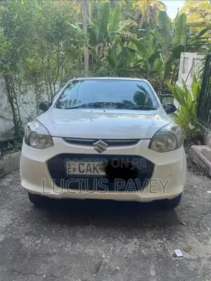Suzuki Alto 2015 Car (Used)