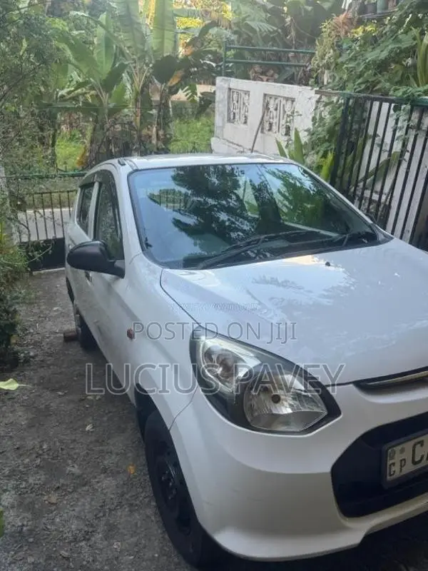 Suzuki Alto 2015 Car (Used)