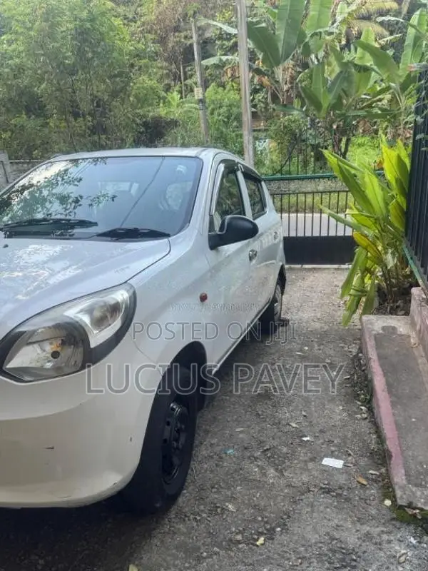 Suzuki Alto 2015 Car (Used)