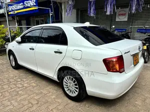 Toyota Axio 141 X Grade 2007 Car (Used)