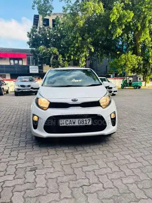 Kia Picanto 2017 Car (Used)