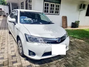 Toyota Axio 2014 Car (Used)