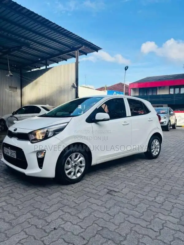 Kia Picanto 2017 Car (Used)