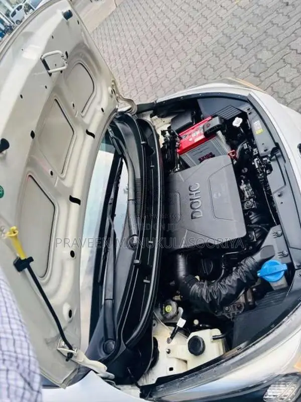 Kia Picanto 2017 Car (Used)
