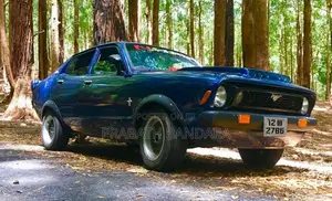 Datsun B211 1976 Car (Used)
