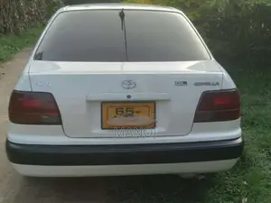 Toyota Corolla 1996 Car (Used)