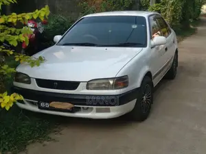 Toyota Corolla 1996 Car (Used)