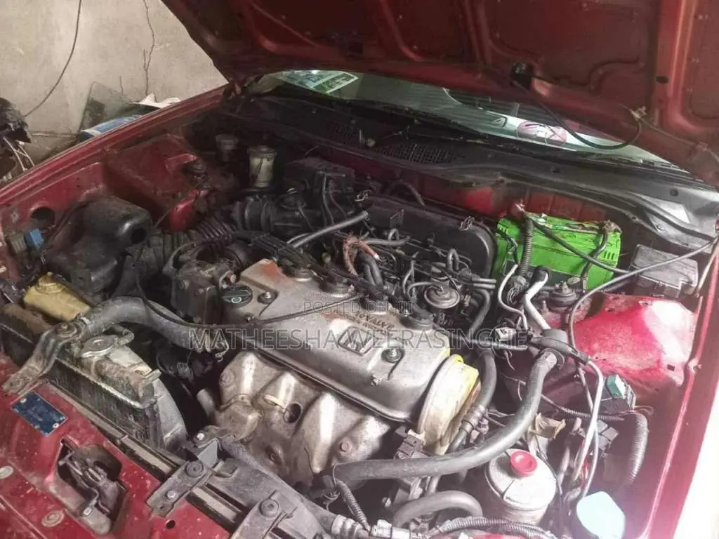 Honda Civic 1995 Car (Used)
