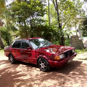 Nissan Trad Sunny 1988 Car (Used)