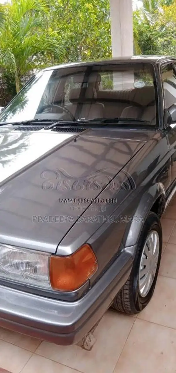 Nissan Trad Sunny 1989 Car (Used)