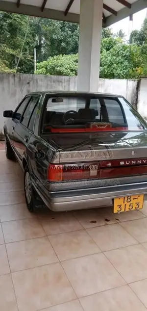 Nissan Trad Sunny 1989 Car (Used)