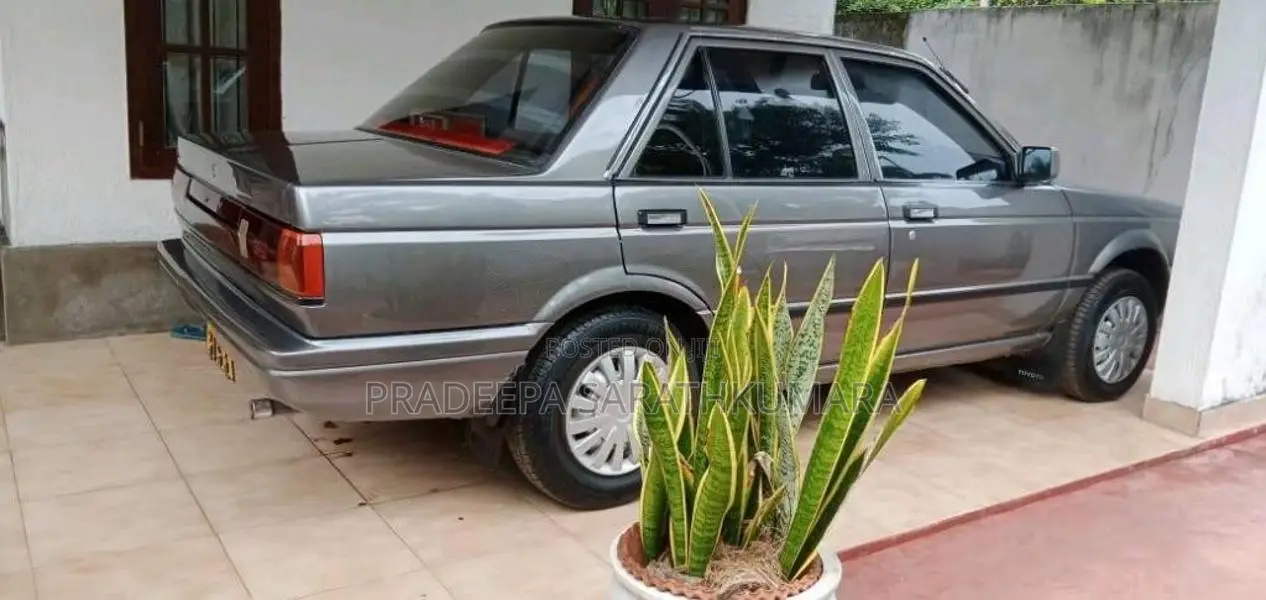 Nissan Trad Sunny 1989 Car (Used)