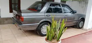 Nissan Trad Sunny 1989 Car (Used)