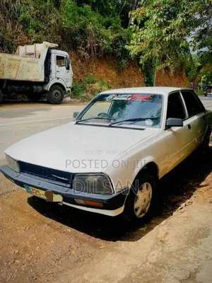 Peugeot Peugeot 1989 Car (Used)