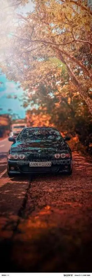 BMW E39 525i 2002 Car (Used)