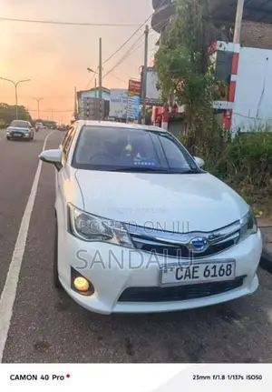 Toyota Axio 2015 Car (Used)