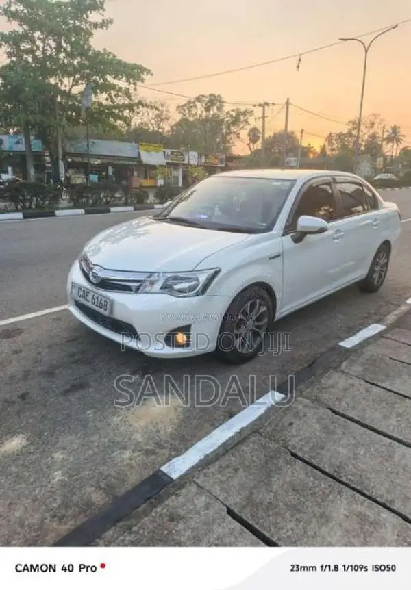 Toyota Axio 2015 Car (Used)