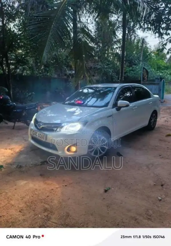 Toyota Axio 2015 Car (Used)