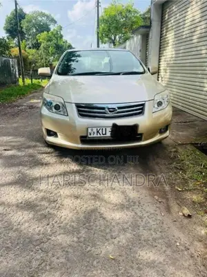 Toyota Axio 2011 Car (Used)